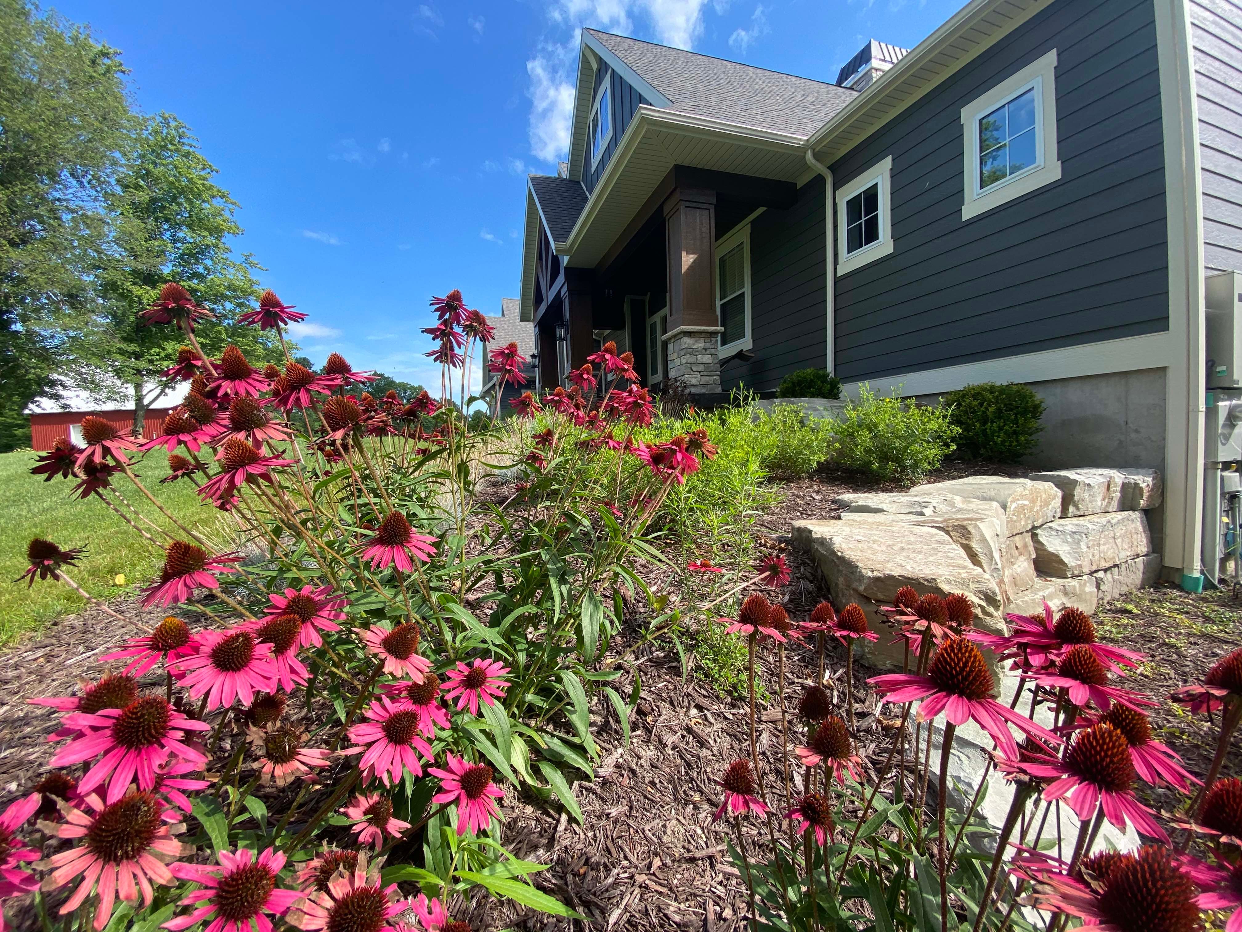 Outdoor Garden