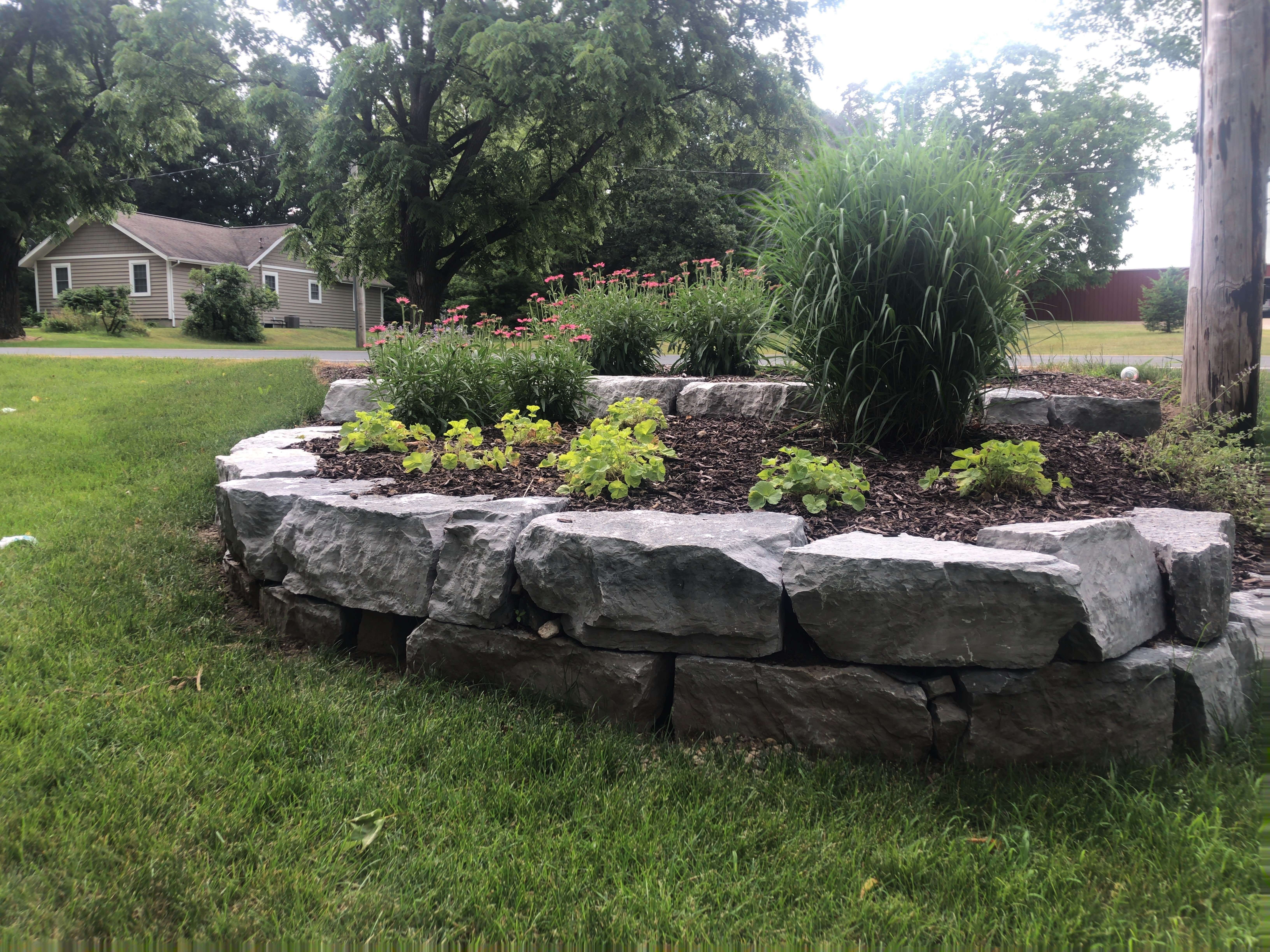Outdoor Plantings
