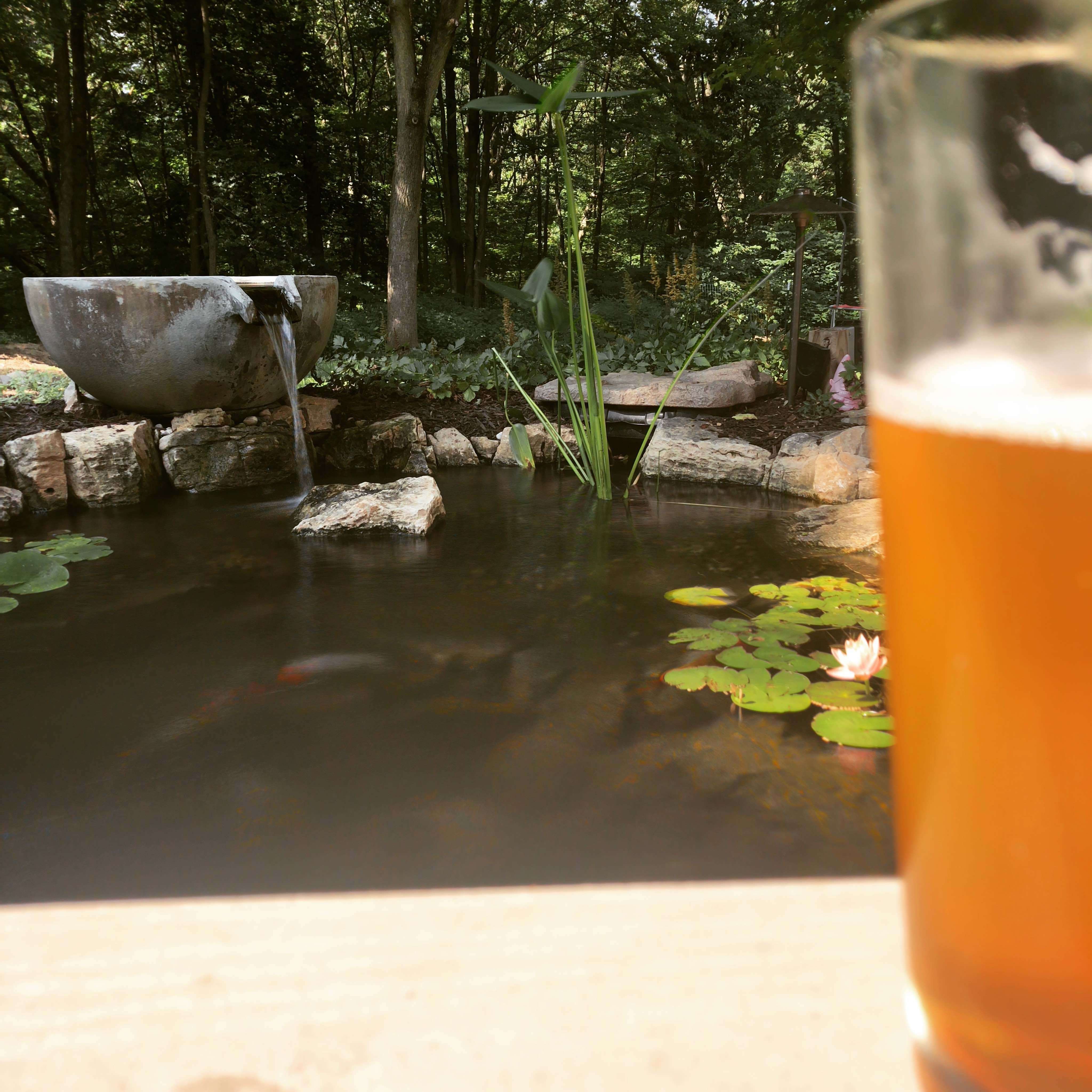 Outdoor Small Pond