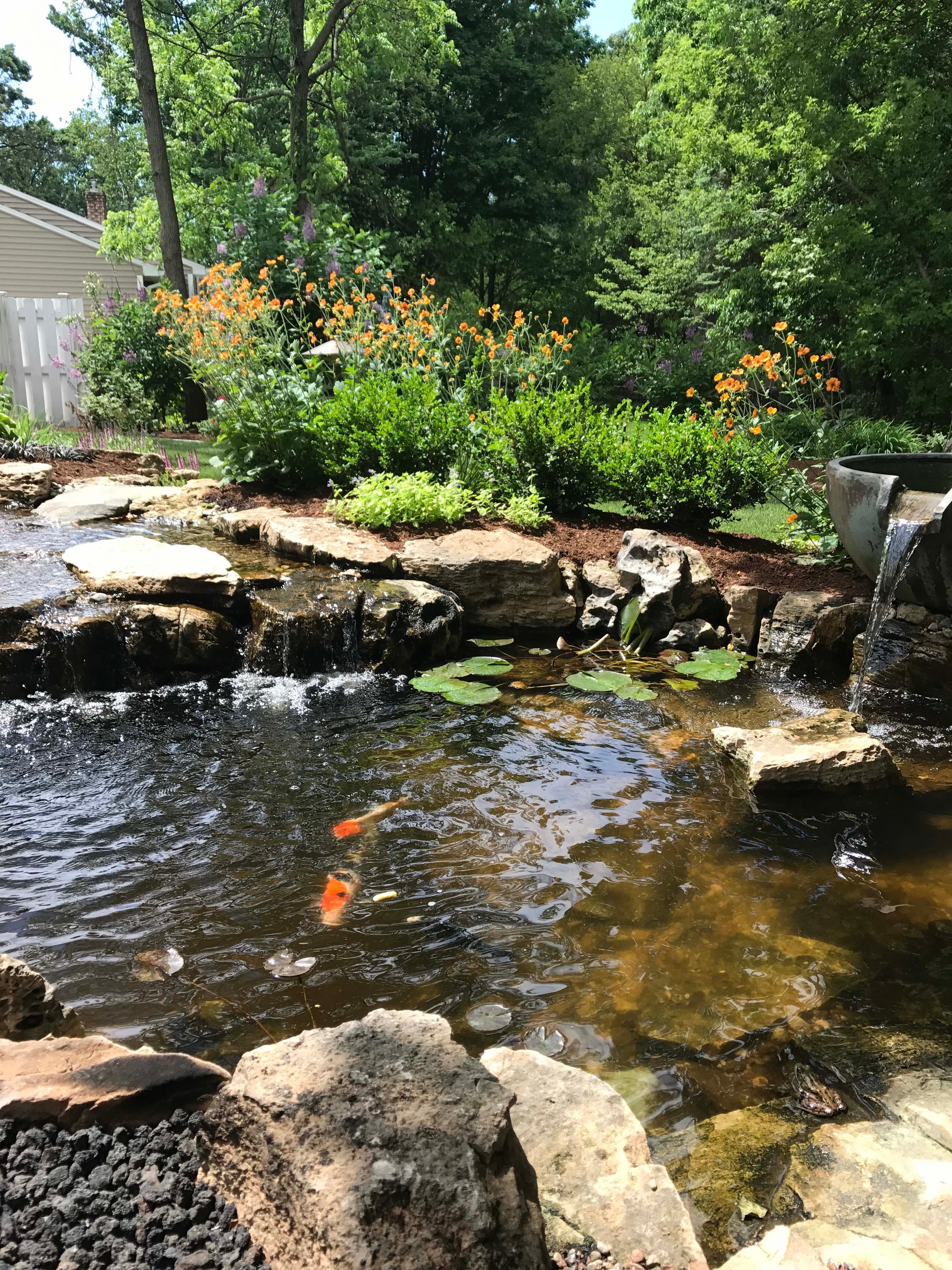 Outdoor Stream